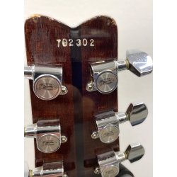 (BRUGT) Washburn Hawk, Wing Series 1979